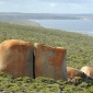 Sting i powrót na Kangaroo Island