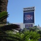 Celine w Vegas...